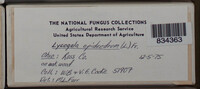 Image Associated With the Occurence